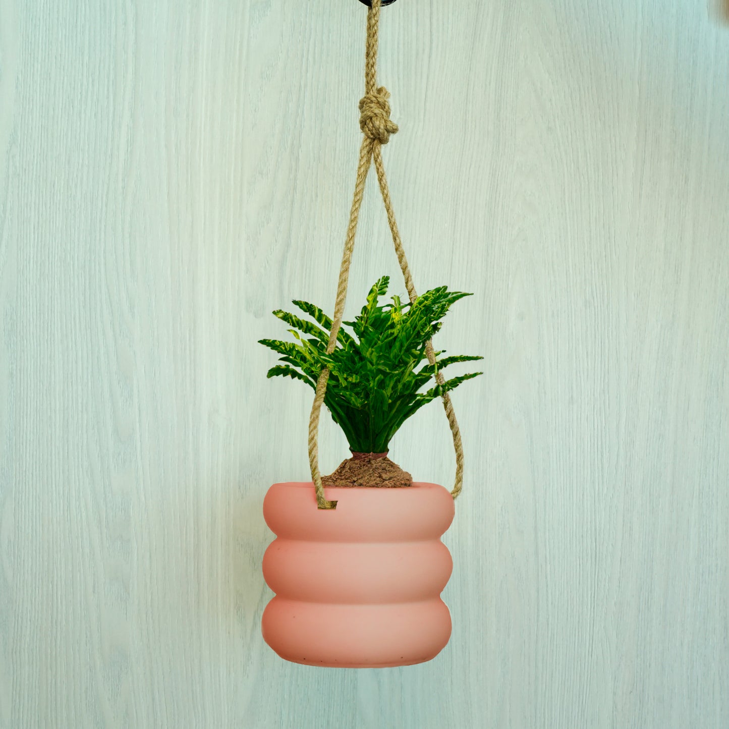 Hanging Bubble Pot, 3D Printed Planter, Hanging Wall Planter with Drainage, Minimal Decor, 4 5 6 7 8 Inch Plant Pots in Matte Terracotta