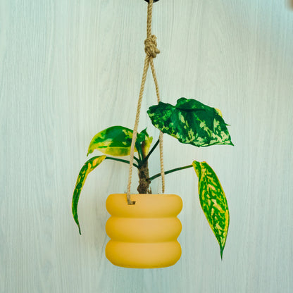 Hanging Bubble Pot, 3D Printed Planter, Hanging Wall Planter with Drainage, Minimal Decor, 4 5 6 7 8 Inch Plant Pots in Matte Terracotta