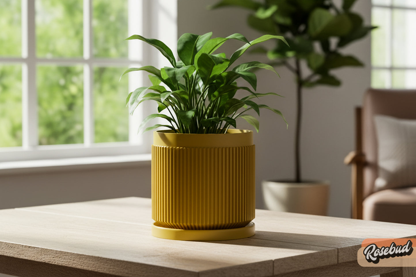 Cadence Planter with Drainage and Drip Tray