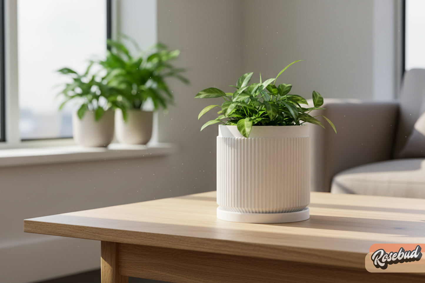 Cadence Planter with Drainage and Drip Tray