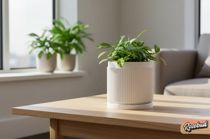 Cadence Planter with Drainage and Drip Tray