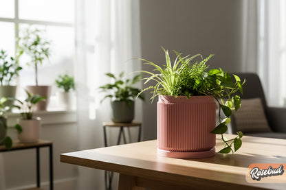 Cadence Planter with Drainage and Drip Tray