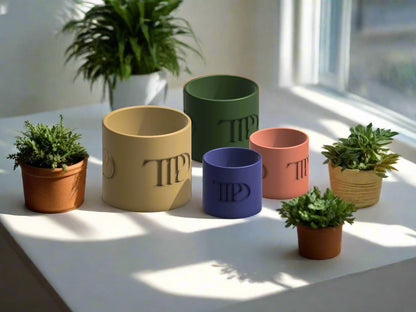 TS Plant Pot With Drainage, TTPD Merch Decor, 3D Printed Planter, Gifts for Swifties, Tortured Poets Department Home Decor