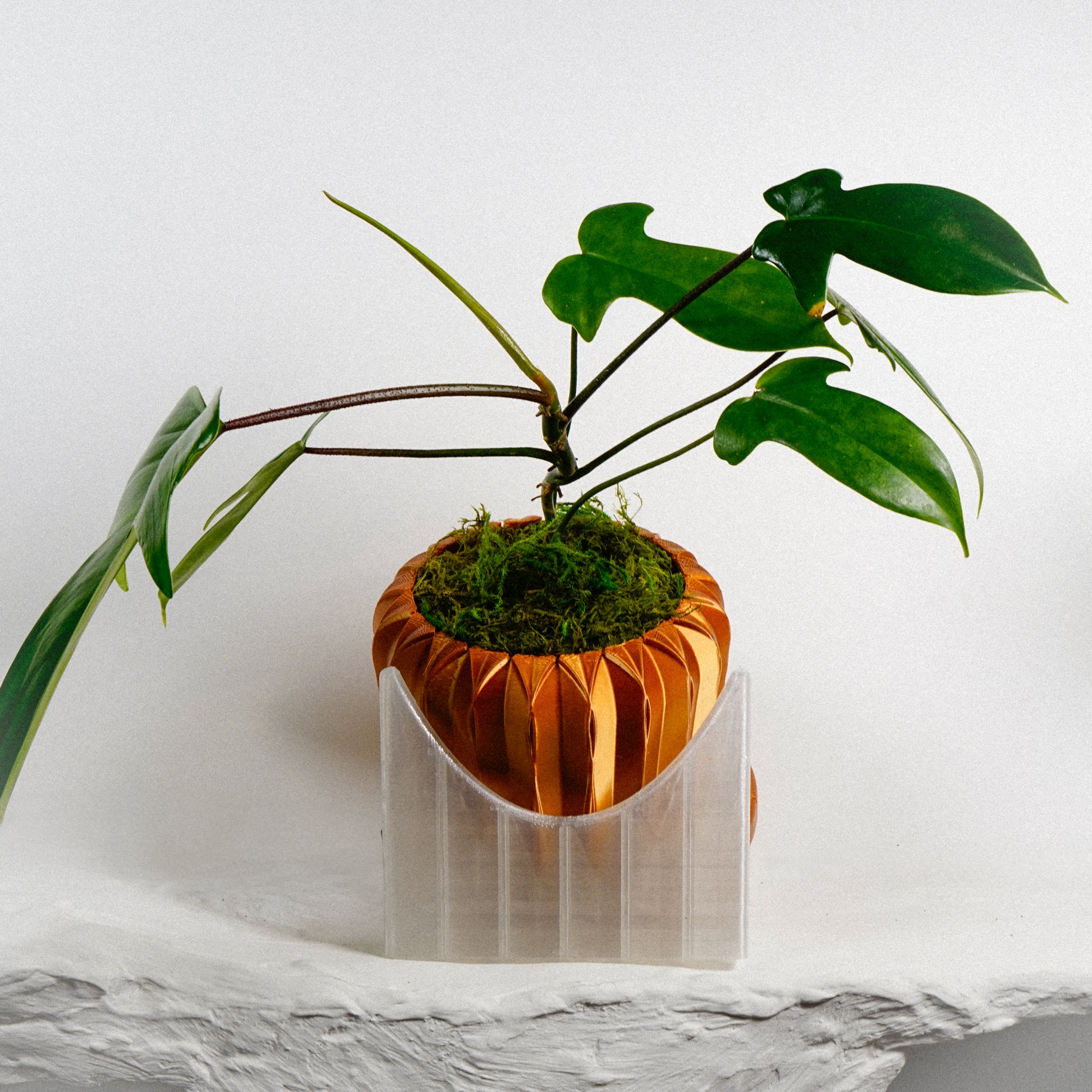 tilted pot plant stand Plant Stand for Indoor Plant Pots