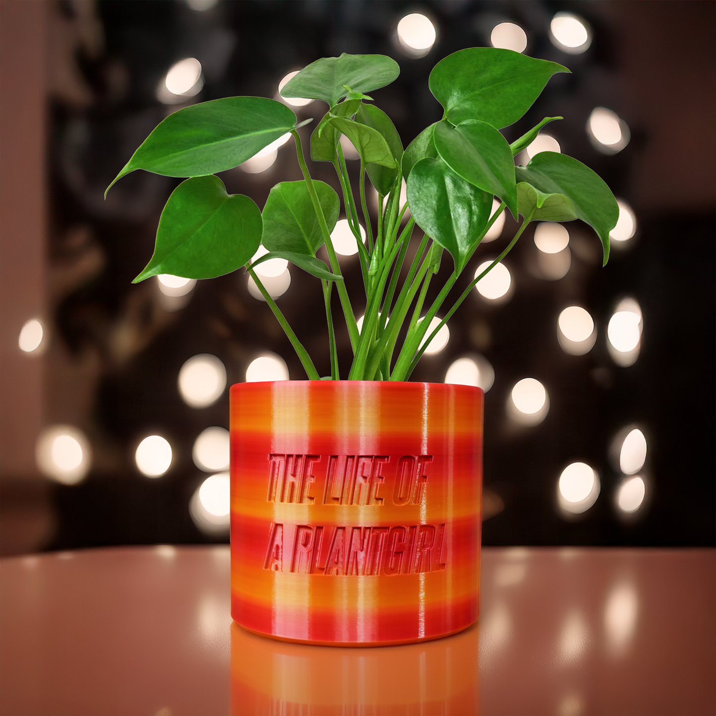 Life of a Showgirl Planter with Drainage and Saucer in Shiny Orange, Plant and Garden lover Gift, Swift Gift Ideas, Indoor and Outdoor