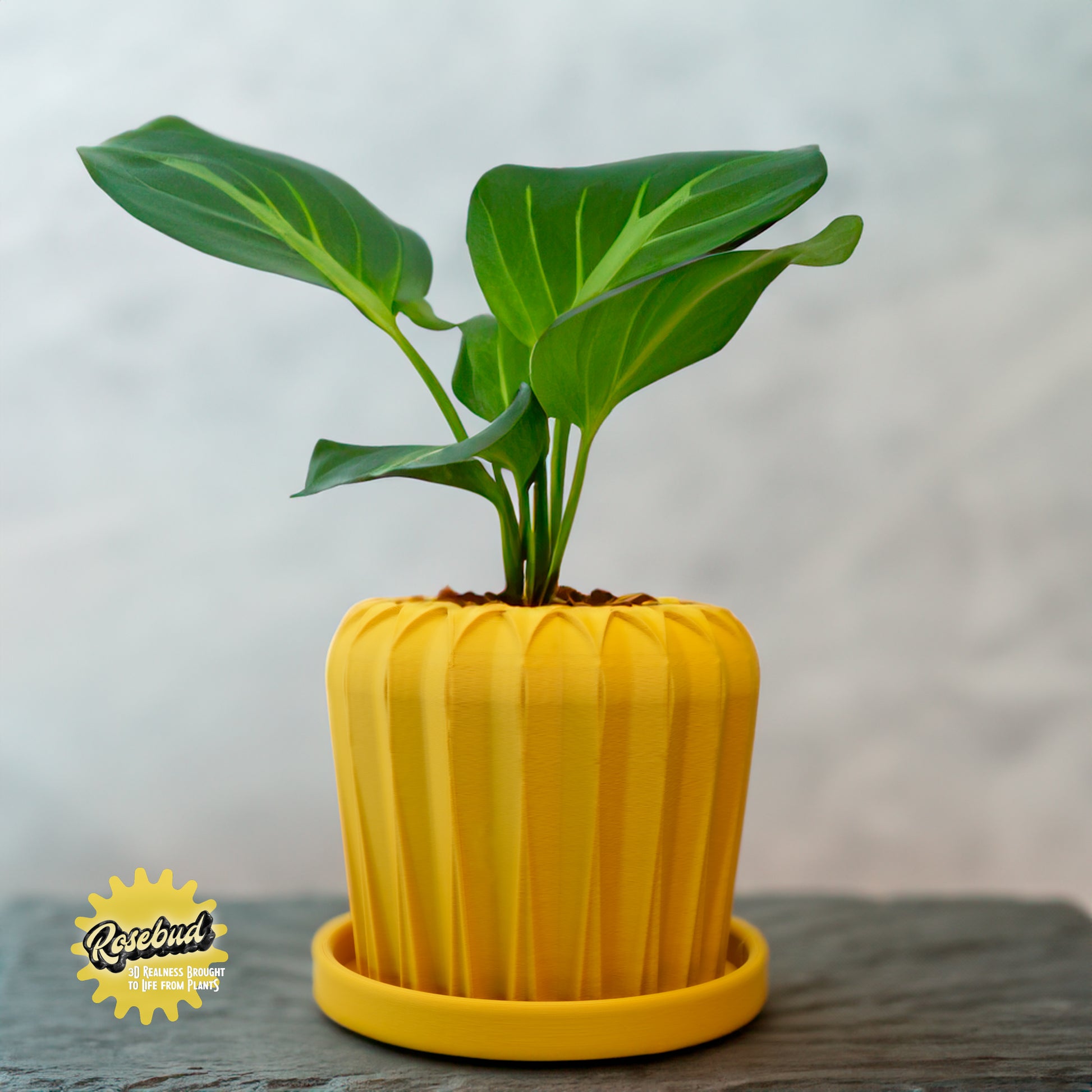 beautiful indoor plant pots Lunar Bloom Plant Pot with Drainage and Saucer, Bonsai Planter Pot Unique, Cacti and House Plant Planter, Lightweight Modern Art Decor Rainbow / 6