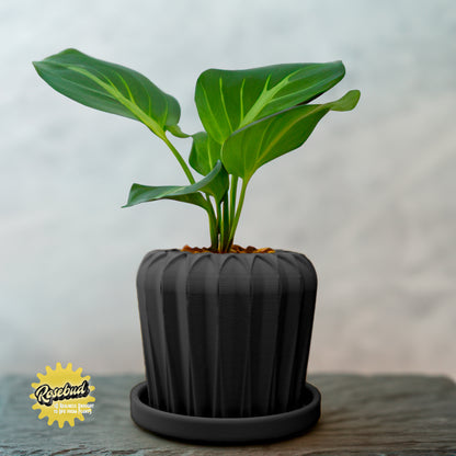 Lunar Bloom Plant Pot with Drainage and Saucer, Bonsai Planter Pot Unique, Cacti and House Plant Planter, Lightweight Modern Art Decor