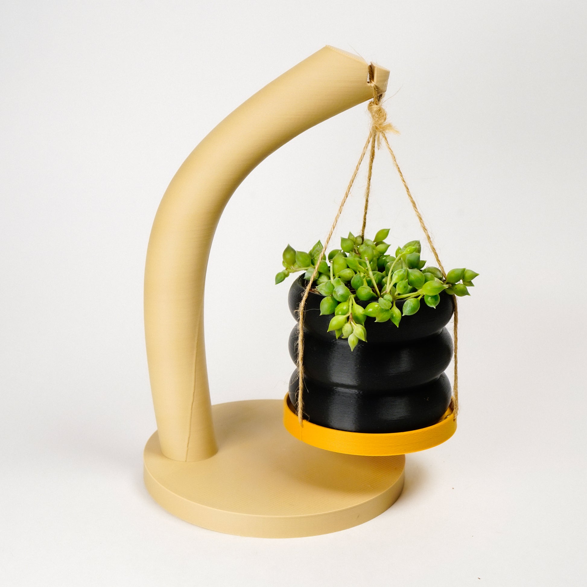 bubble hanging plant 3" Hanging Bubble With Tray & Holder – Rosebud HomeGoods