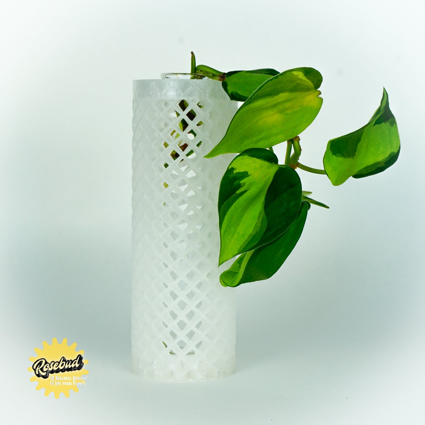 Poseidon Plant Propagation Sation