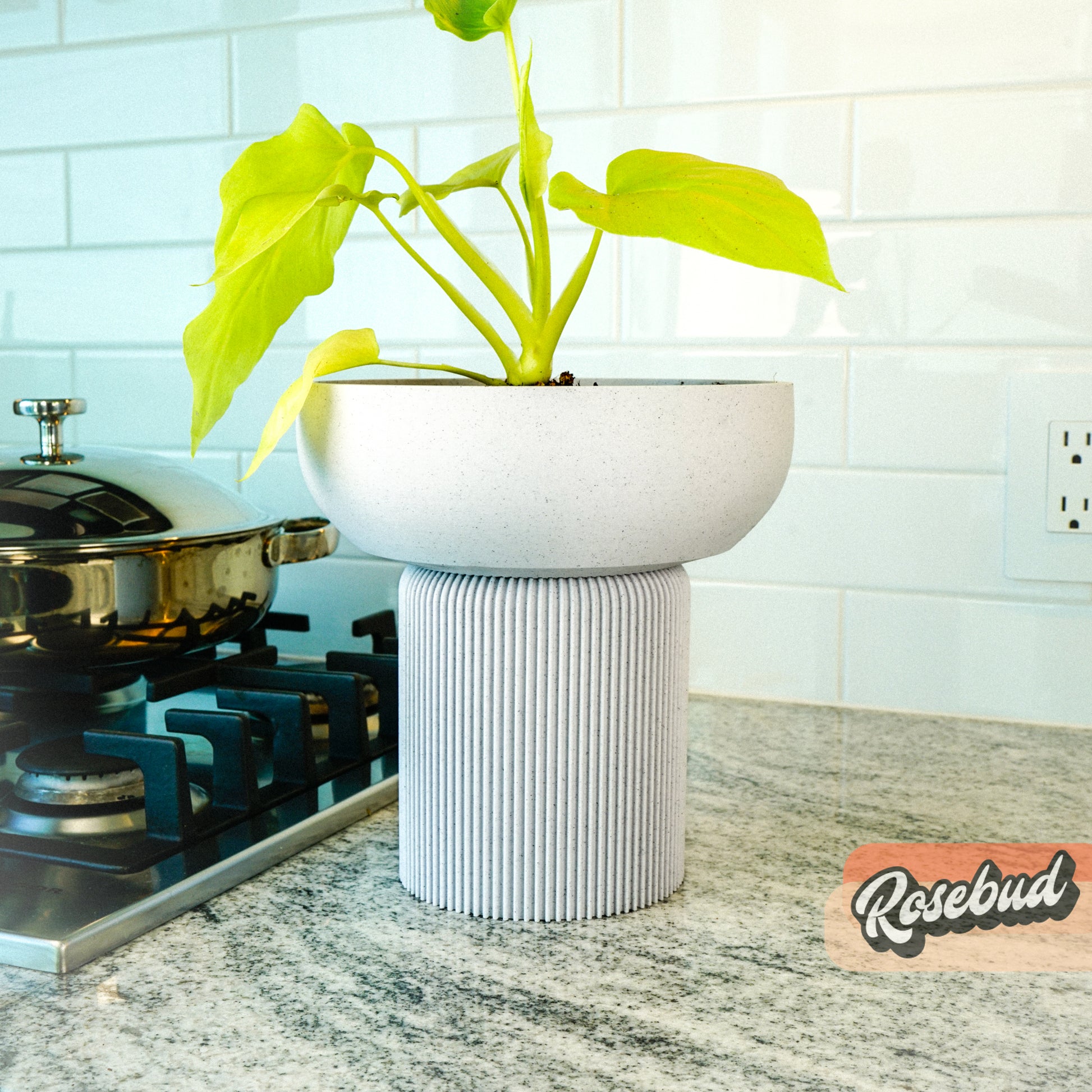 pedestal plant pots 3D Printed Plant Pot and Air Plant Holder – Stylish, Durable, Eco-Friendly, Modern Design, Indoor & Outdoor Use, Multiple Sizes & Colors, Lightweight, Easy to Clean, Perfect for Houseplants, Unique Planter, Decorative