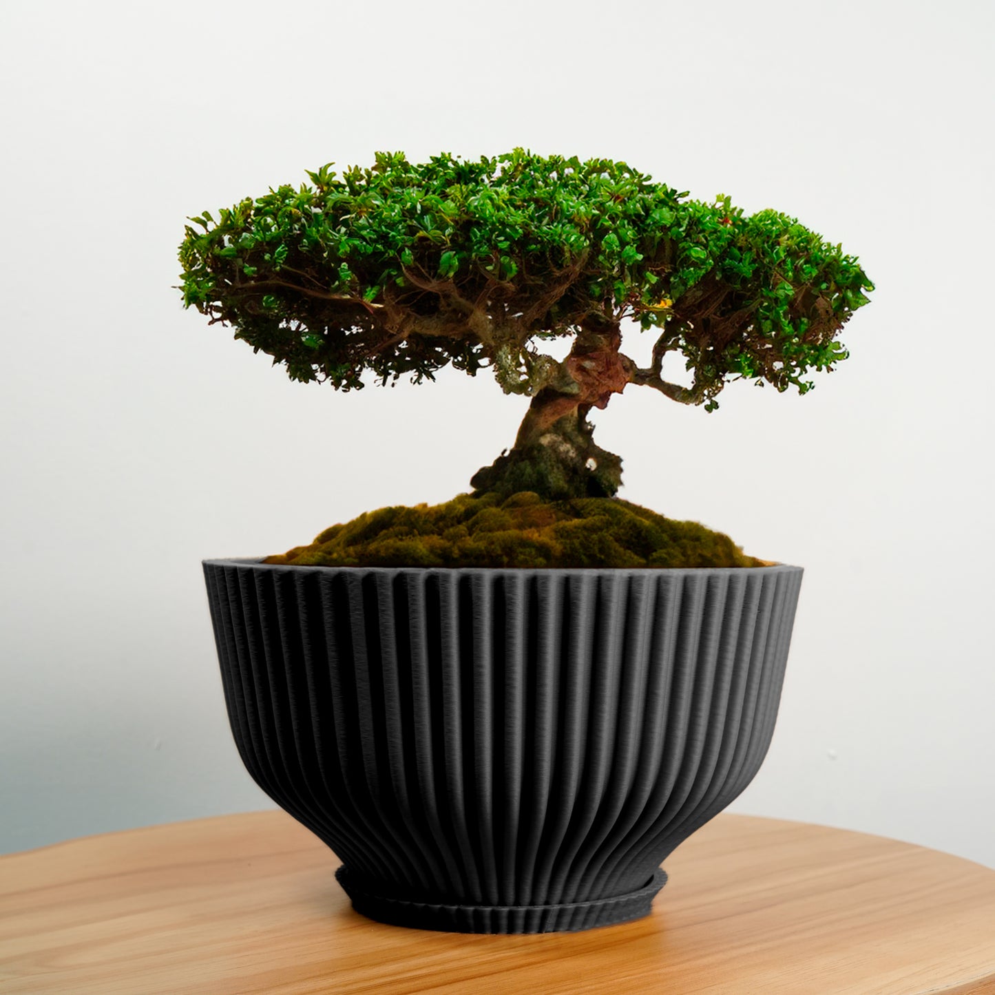 Bonsai Pot with Drainage and Saucer, Succulent Arrangement Planter Pot Unique, Cacti and House Plant Planter, Lightweight Wide Bowl