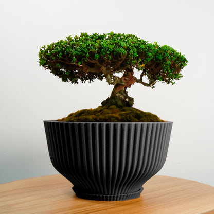 Bonsai Pot with Drainage and Saucer, Succulent Arrangement Planter Pot Unique, Cacti and House Plant Planter, Lightweight Wide Bowl