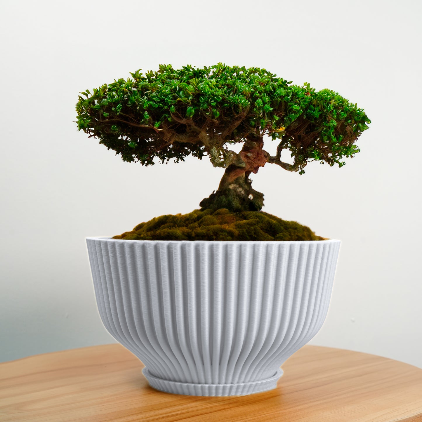 Bonsai Pot with Drainage and Saucer, Succulent Arrangement Planter Pot Unique, Cacti and House Plant Planter, Lightweight Wide Bowl