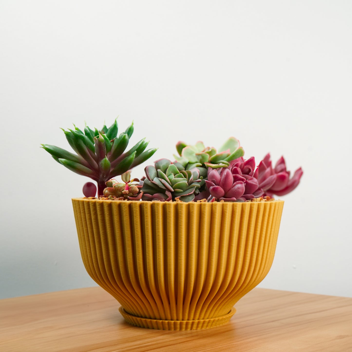 Bonsai Pot with Drainage and Saucer, Succulent Arrangement Planter Pot Unique, Cacti and House Plant Planter, Lightweight Wide Bowl