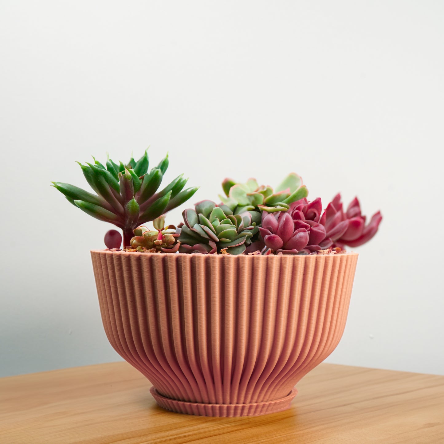 Bonsai Pot with Drainage and Saucer, Succulent Arrangement Planter Pot Unique, Cacti and House Plant Planter, Lightweight Wide Bowl