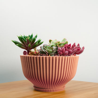Bonsai Pot with Drainage and Saucer, Succulent Arrangement Planter Pot Unique, Cacti and House Plant Planter, Lightweight Wide Bowl