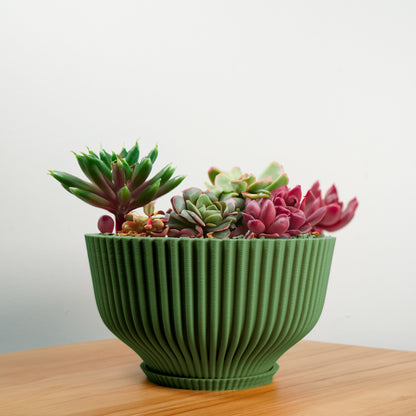 Bonsai Pot with Drainage and Saucer, Succulent Arrangement Planter Pot Unique, Cacti and House Plant Planter, Lightweight Wide Bowl