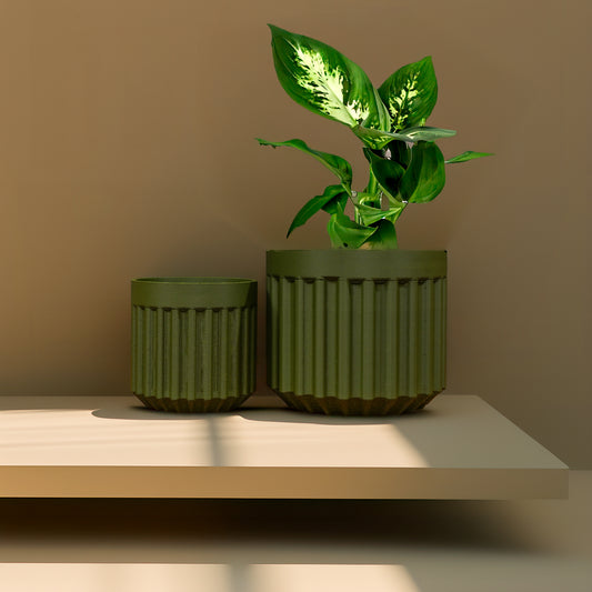 Rotunda Planter with Drainage and Drip Tray Included