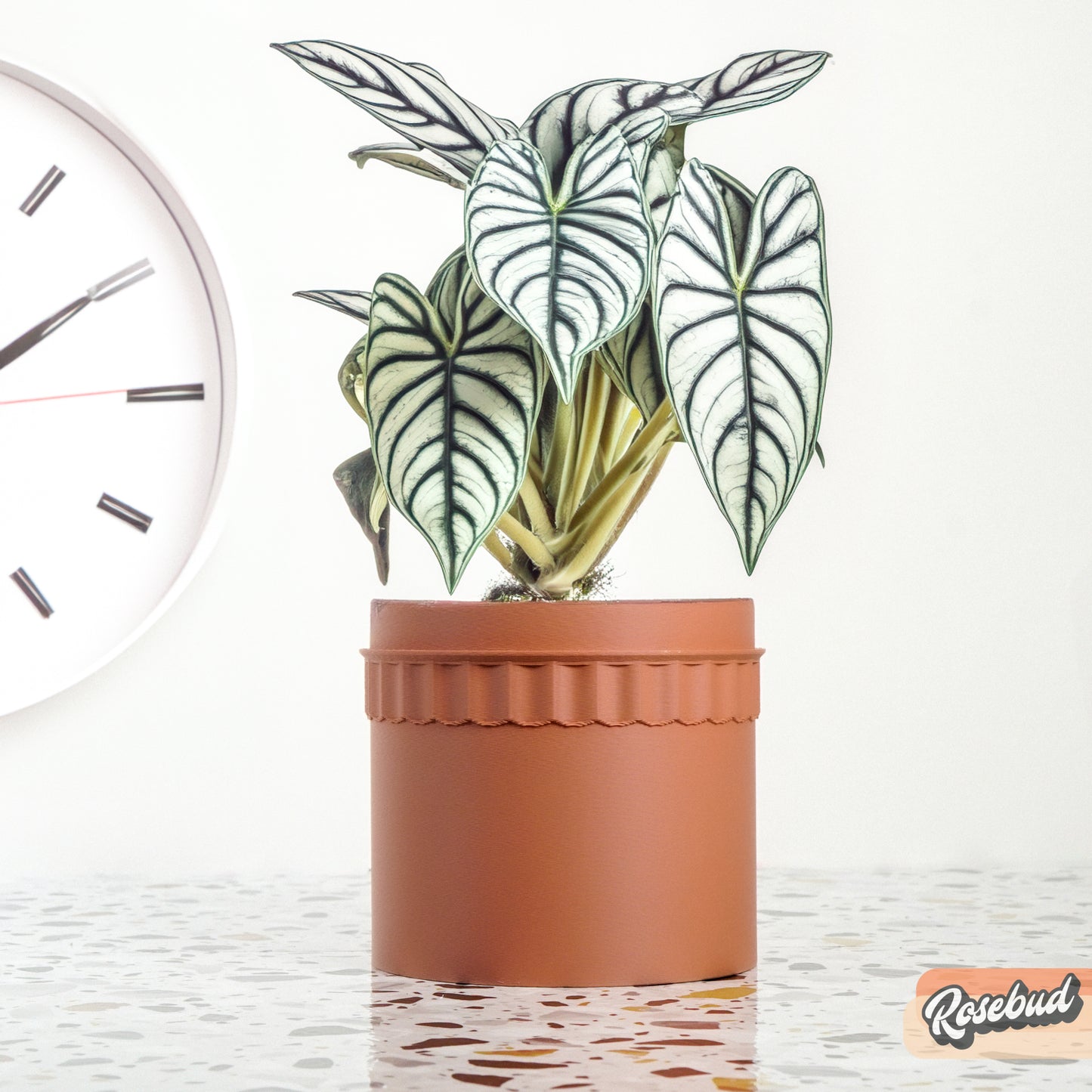 Regis Plant Pot with Drainage and Tray