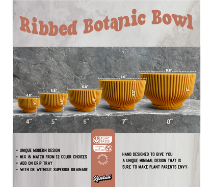 Bonsai Pot with Drainage and Saucer, Succulent Arrangement Planter Pot Unique, Cacti and House Plant Planter, Lightweight Wide Bowl