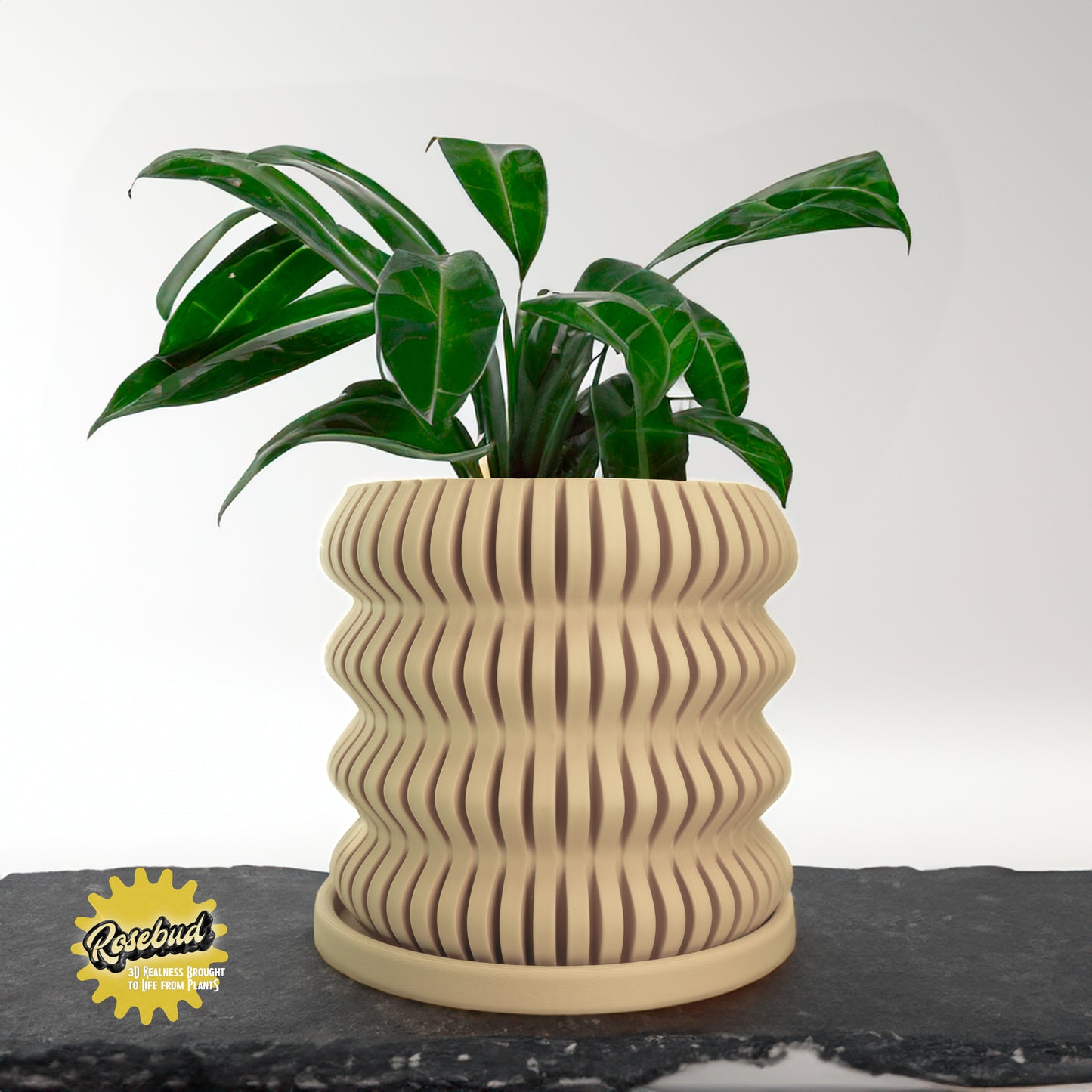 Spira Modern Bubble Plant Pot Unique, 3D Printed Planter, Planter with Drainage, Orchid Pot, Bonsai Planter Pot, Plant Gift, Cottage Core Decor