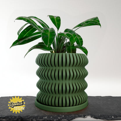 Spira Modern Bubble Plant Pot Unique, 3D Printed Planter, Planter with Drainage, Orchid Pot, Bonsai Planter Pot, Plant Gift, Cottage Core Decor