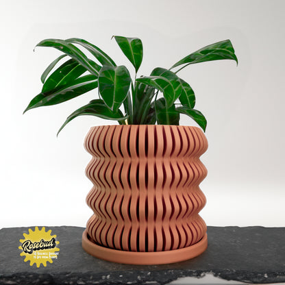 Spira Modern Bubble Plant Pot Unique, 3D Printed Planter, Planter with Drainage, Orchid Pot, Bonsai Planter Pot, Plant Gift, Cottage Core Decor