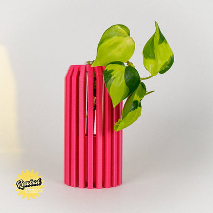 Propagation Station for Plant Cuttings, Bookshelf Table Decor, Multiple Sizes and Colors,  3D Printed Vase, Gifts for Plant Lovers, Vertigo