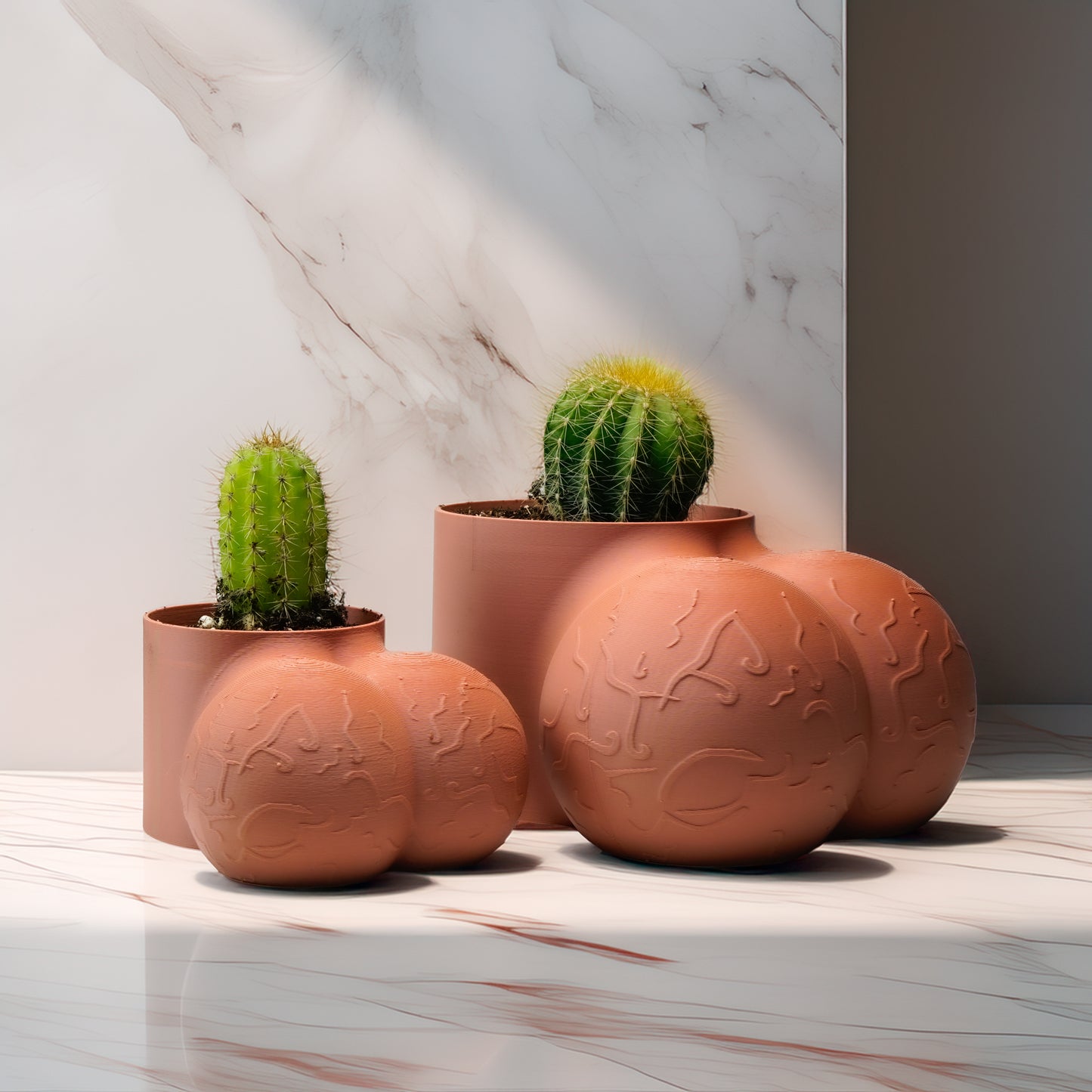 rude plant pots Sir Richard Plant Pot With Drainage, Funny Gag Gifts for Cactus Lovers Silver / With Cactus / 4”