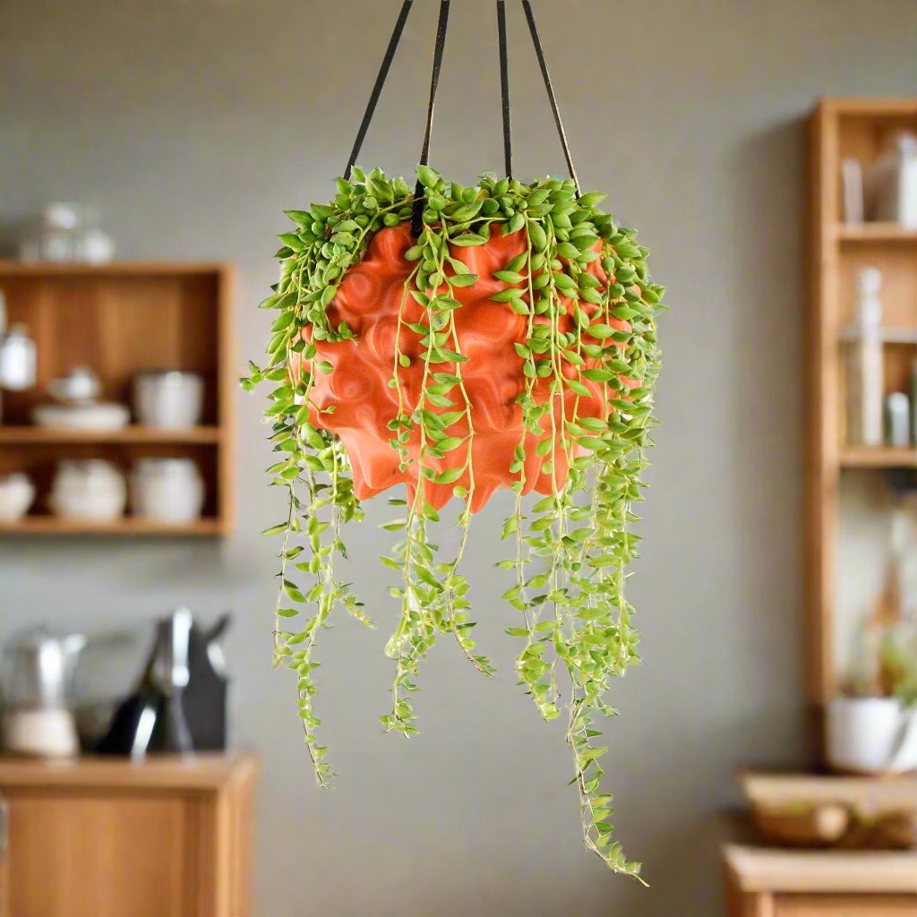 Exotic Orb Hanging Planter - Rosebud HomeGoods Terracotta 5 inch MODERN HOME GOOD