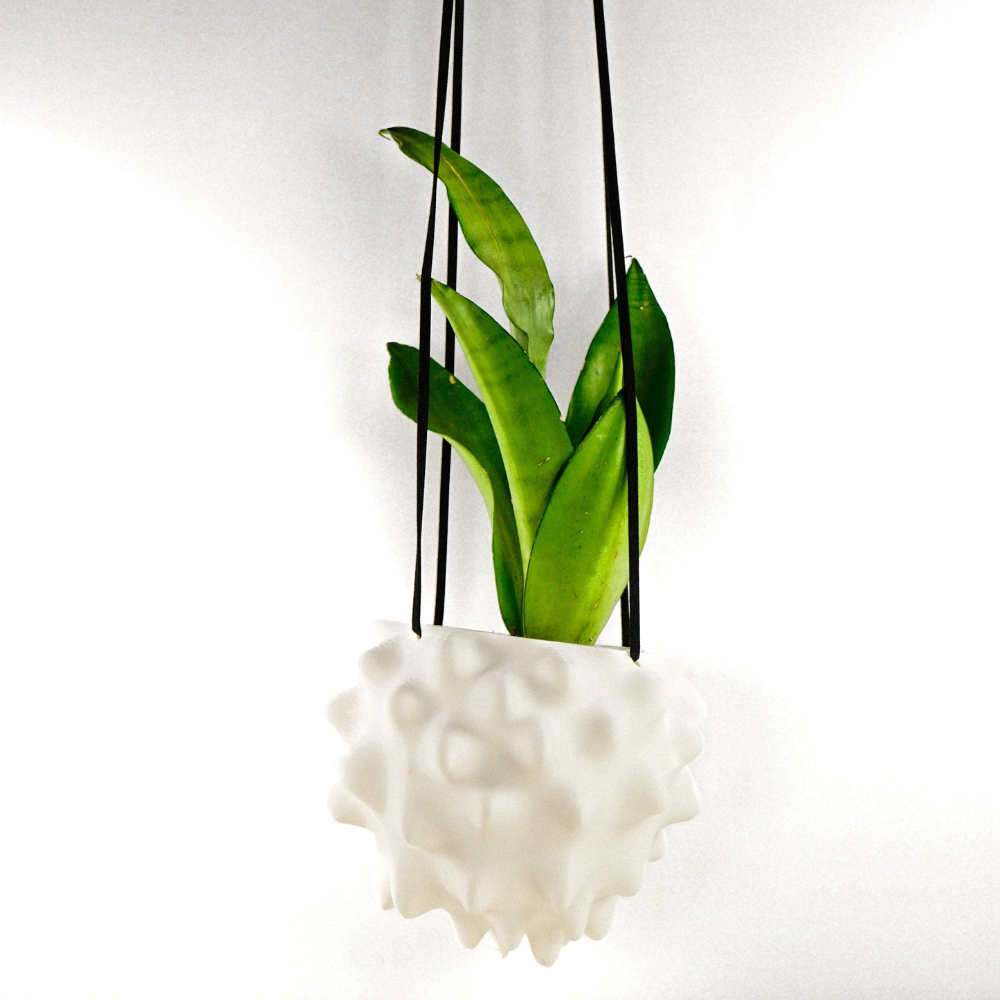 Exotic Orb Hanging Planter - Rosebud HomeGoods Terracotta 5 inch MODERN HOME GOOD