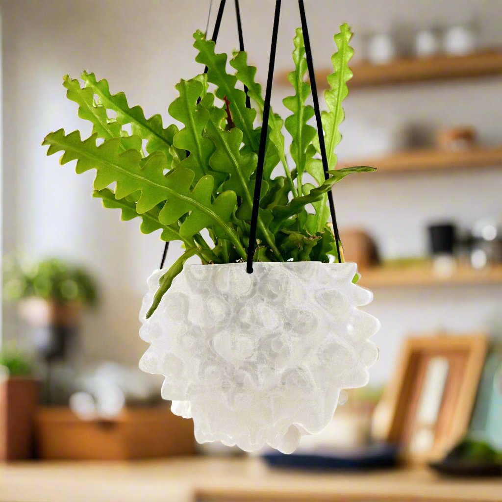 Exotic Orb Hanging Planter - Rosebud HomeGoods Crystal 5 inch MODERN HOME GOOD