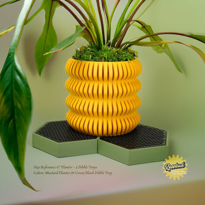 pebble trays for indoor plants Water Humidity Tray For Houseplants and Garden, 3D Printed Planter Accessories, Garden Gifts, Alocasia and Humid Loving Plants, Gifts For Green /
