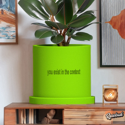 You Exist in the Context Plant Pot, Charli XCX Brat Summer Decor, Kamala Coconut Tree Quote, Gifts for LGBTQIA+, Humorous Gifts for Her