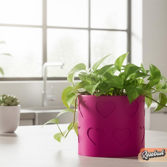 Modern pink plant pot with cute hearts circling the entire planter, with drainage and drip tray