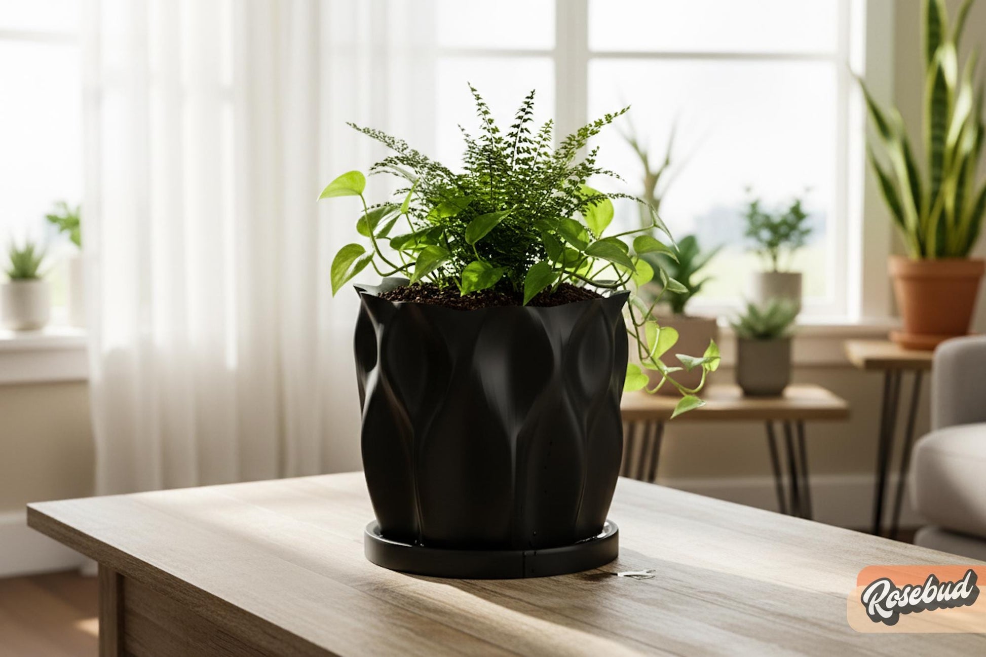 indoor tulip planter Modern Tulip Planter with Drainage and Drip Tray Sculpted Organic Plant Pot Small Medium Large, Tulip Marble / Large + Tray