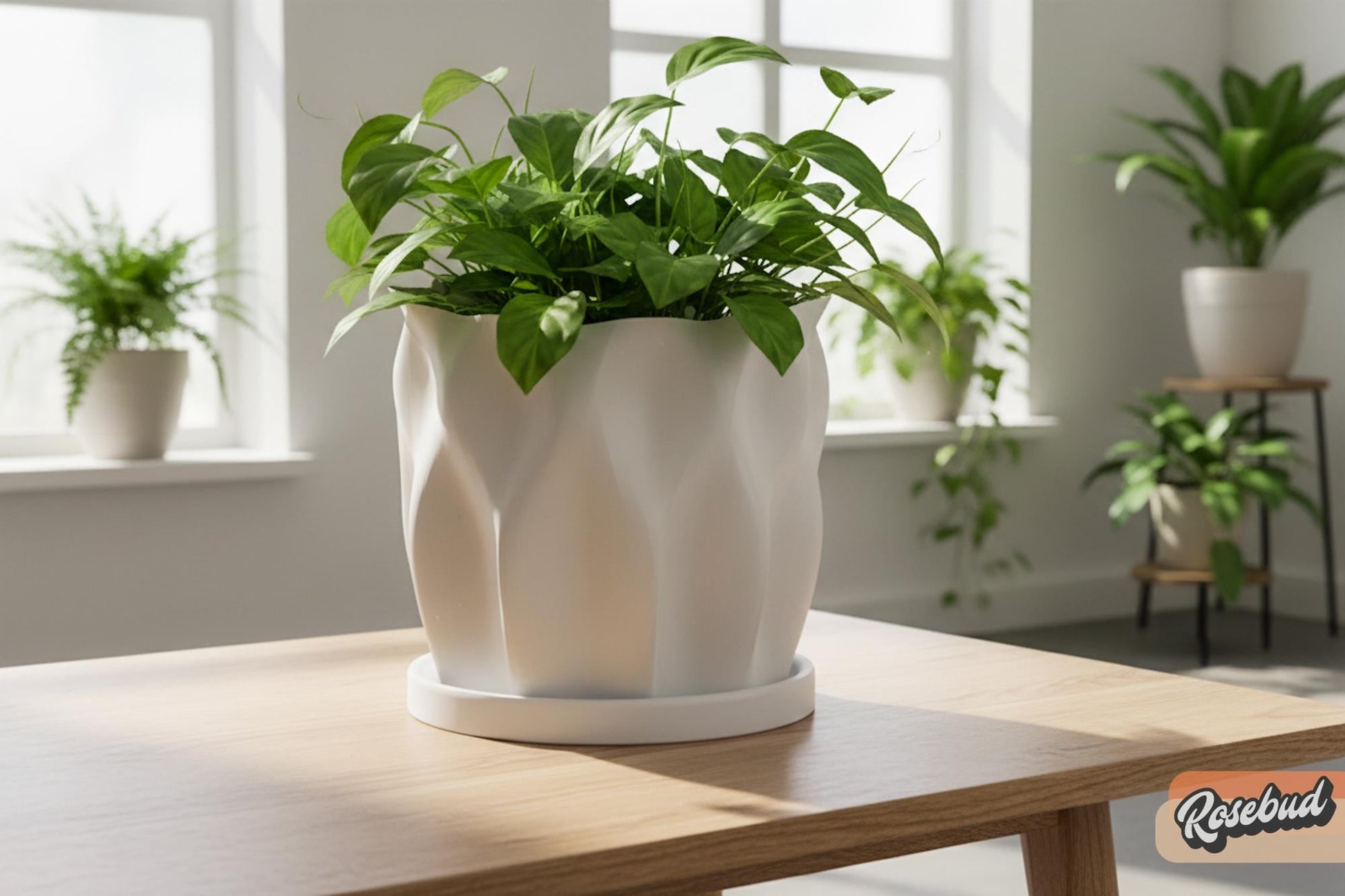 large drainage plant pot Modern Tulip Planter with Drainage and Drip Tray Sculpted Organic Plant Pot Small Medium Large, Tulip Marble / Large + Tray