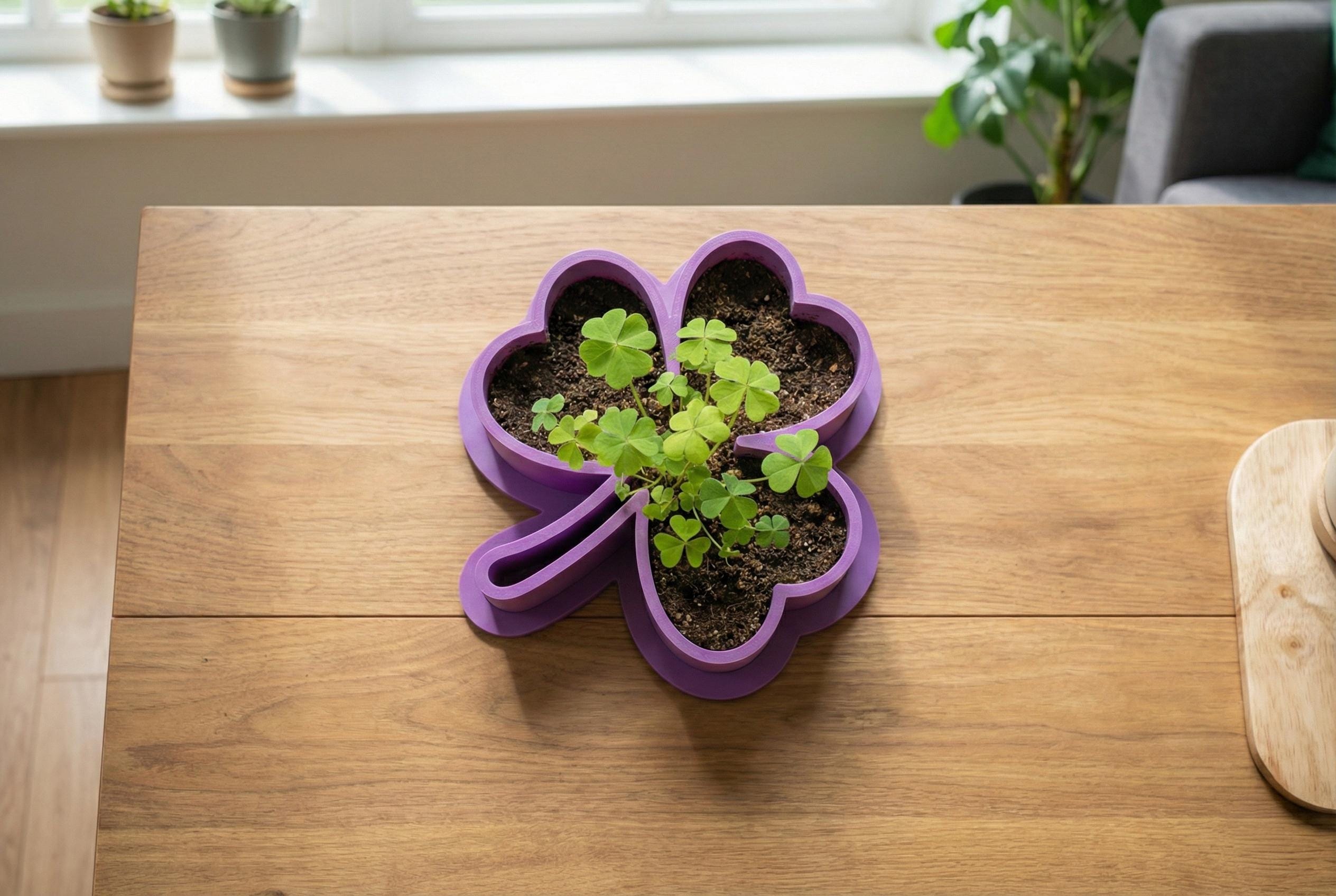 Shamrock Planter with Drip Tray 9 Inch Green Clover Succulent Bowl