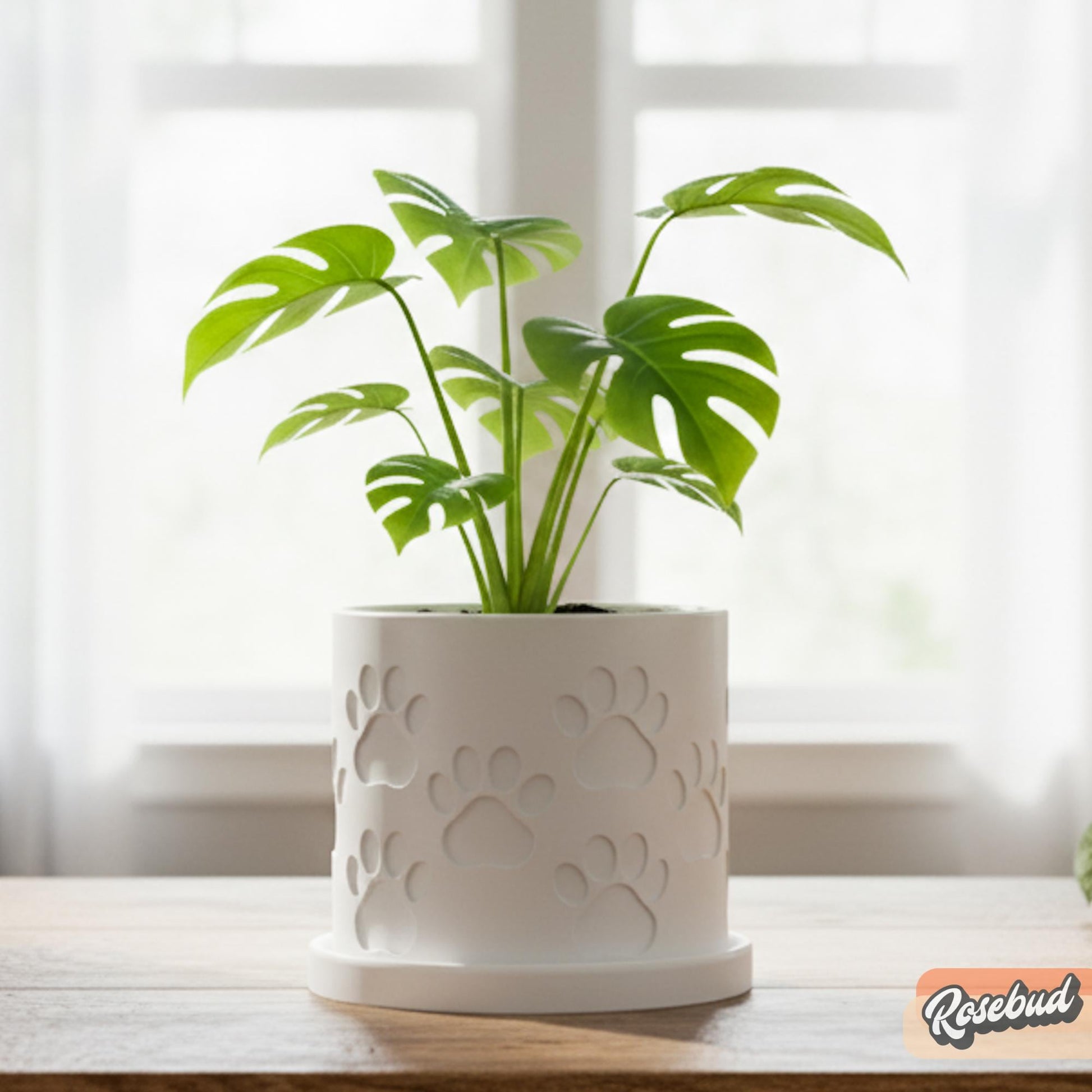 Dog Paw Planter with Drainage Tray, Paw Print Succulent Pot, Dog Mom Plant Pot, Pet Lover Planter, Cute Cat Decor, 3D Printed Plant Pot