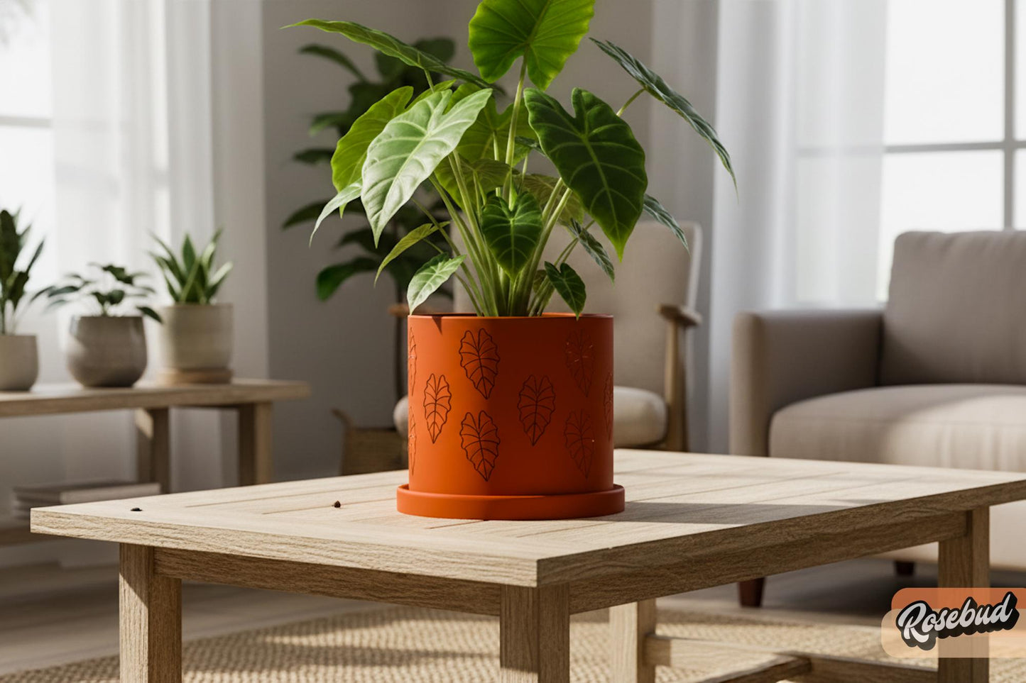 Modern plant lover gift with botanical styling