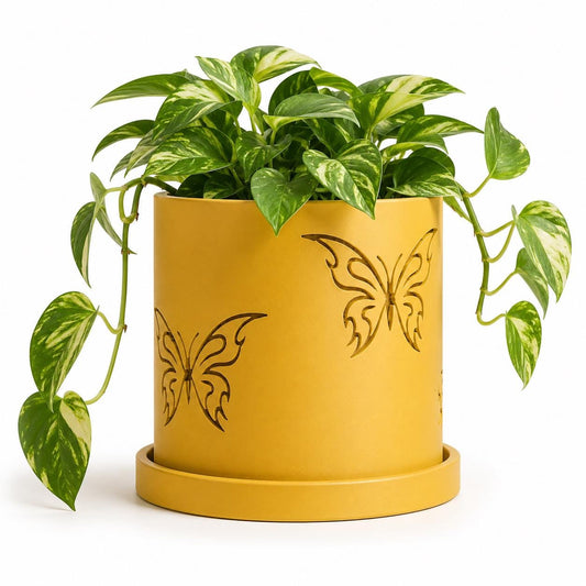 Butterfly Planter Pot, Cute 3D Printed Indoor Plant Pot with Tray, Aesthetic Room Decor, Lightweight Planter, 4–11 Inch