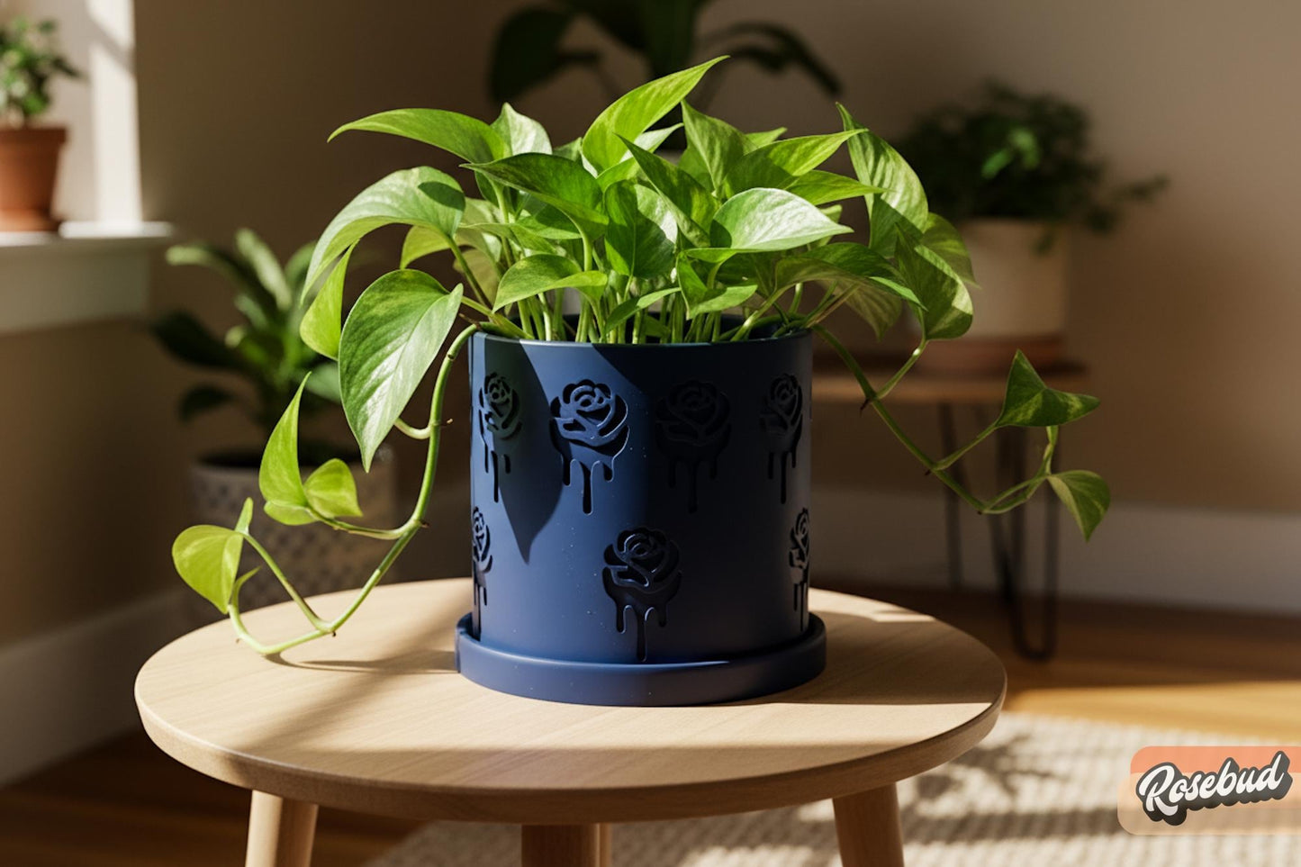 Plant lover gift planter with drainage tray