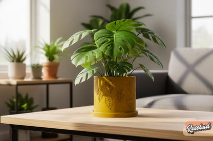 Contemporary plant pot available in multiple colors and sizes