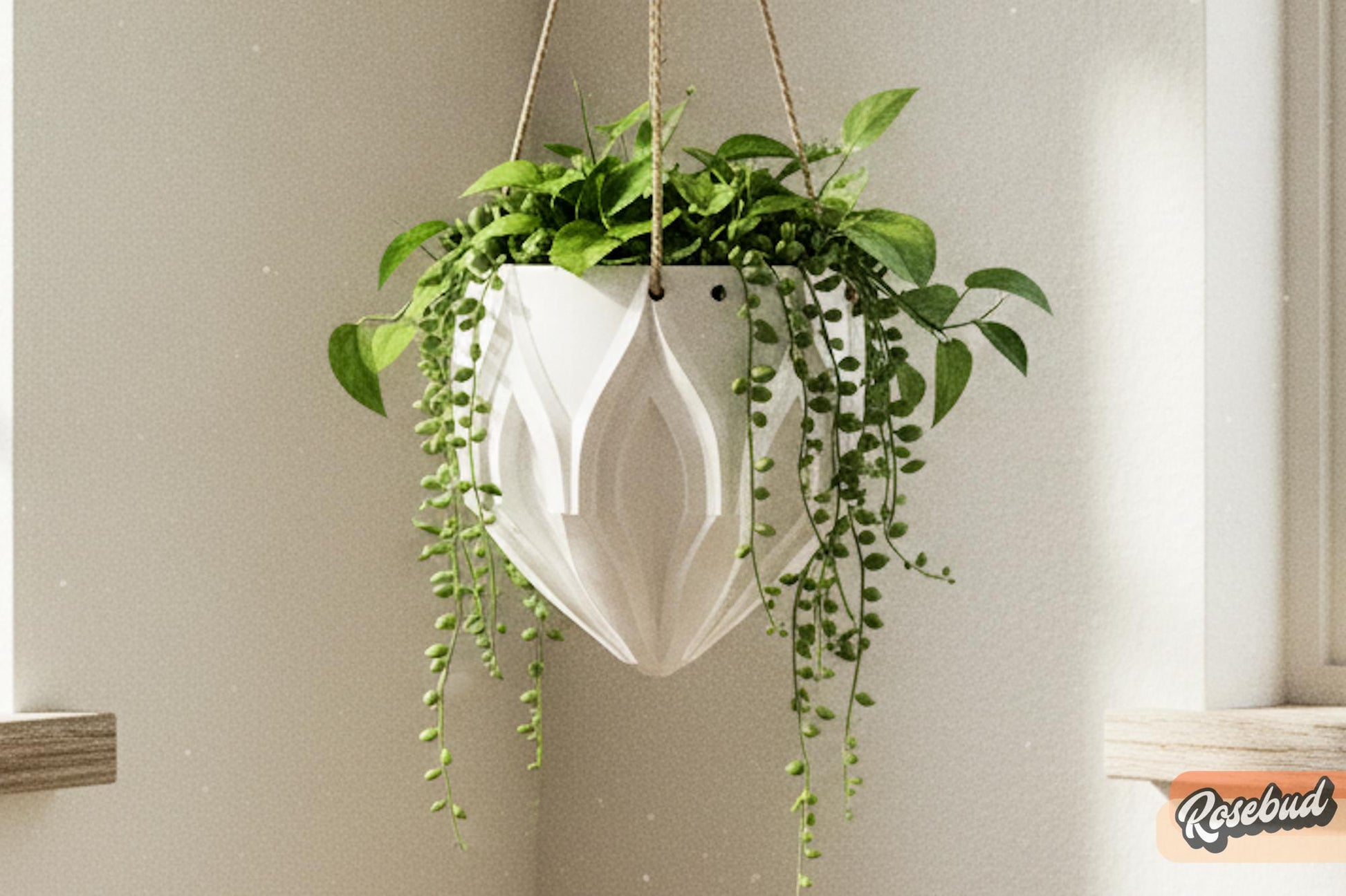 Hanging Planter with Drainage, Modern Hanging Plant Pot, 3D Printed Hanging Planter, Indoor Hanging Planter, Hanging Basket, Hypebeast Decor