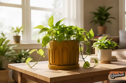 Castle Planter with Drainage Tray, Gothic Planter, Architectural Plant Pot, 3D Printed Planter, Indoor Planter, Unique Home Decor