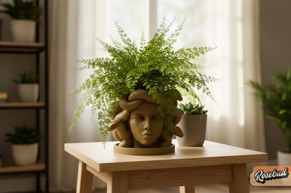 Medusa Planter with Drainage & Drip Tray, Snake Hair Face Planter, 3D Printed Greek Mythology Plant Pot, 22 Colors, Fits 2 4 6 Inch Plants