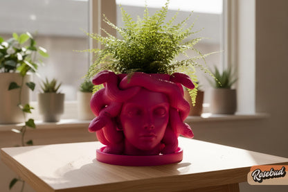 Medusa Planter with Drainage & Drip Tray, Snake Hair Face Planter, 3D Printed Greek Mythology Plant Pot, 22 Colors, Fits 2 4 6 Inch Plants