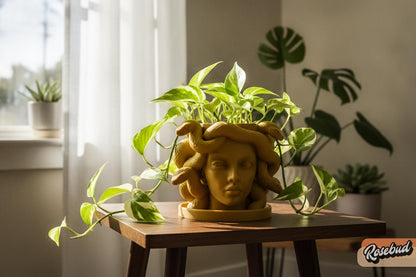 Gold Medusa planter with sculpted snakes and trailing pothos styled as Greek mythology home decor.