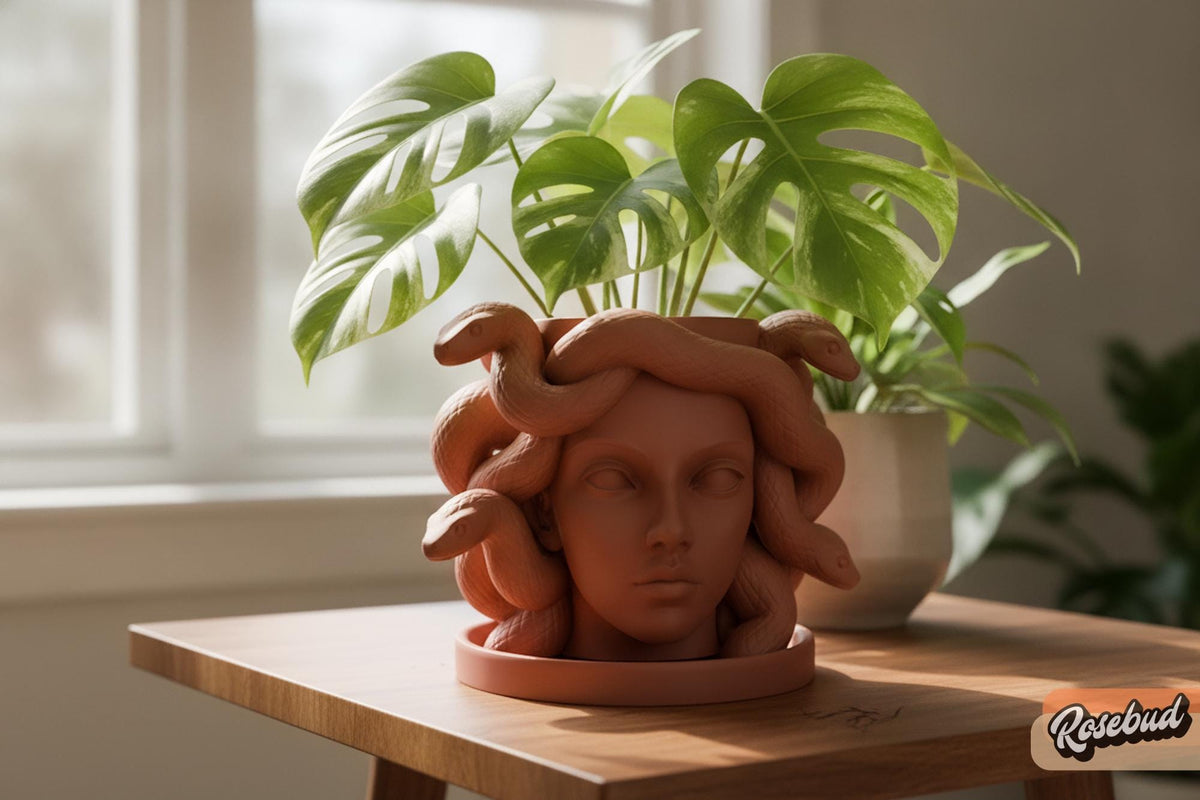 Medusa Planter with Drainage & Drip Tray, Snake Hair Face Planter, 3D Printed Greek Mythology Plant Pot, 22 Colors, Fits 2 4 6 Inch Plants