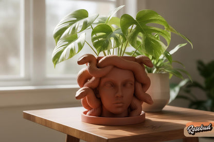 Medusa Planter with Drainage & Drip Tray, Snake Hair Face Planter, 3D Printed Greek Mythology Plant Pot, 22 Colors, Fits 2 4 6 Inch Plants